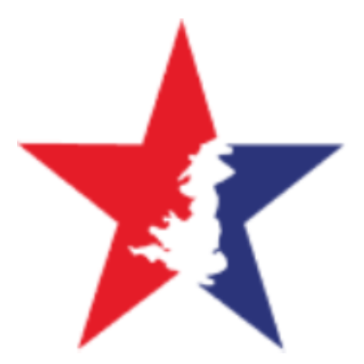 THE BRITISH INSTITUTE